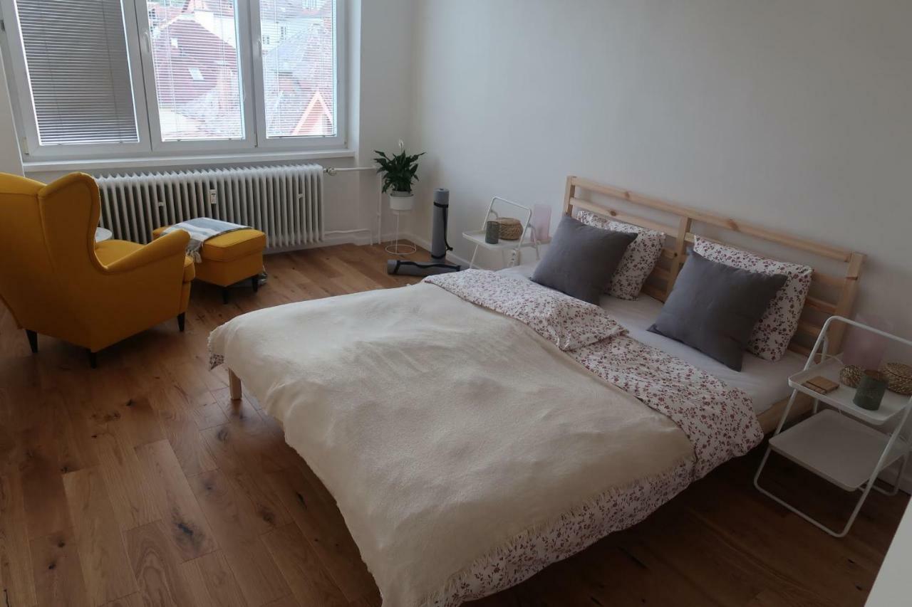 Hniezdo V Raji 1 - Luxurious Apartment 3 Min Walk To City Center Spišská Nová Ves Exteriér fotografie